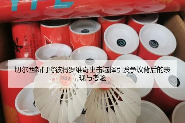 切尔西新门将彼得罗维奇出击选择引发争议背后的表现与考验
